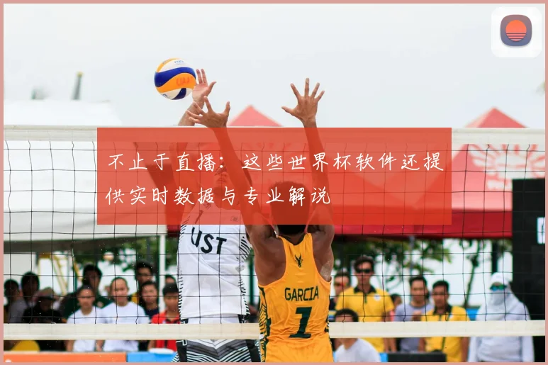 不止于直播：这些世界杯软件还提供实时数据与专业解说